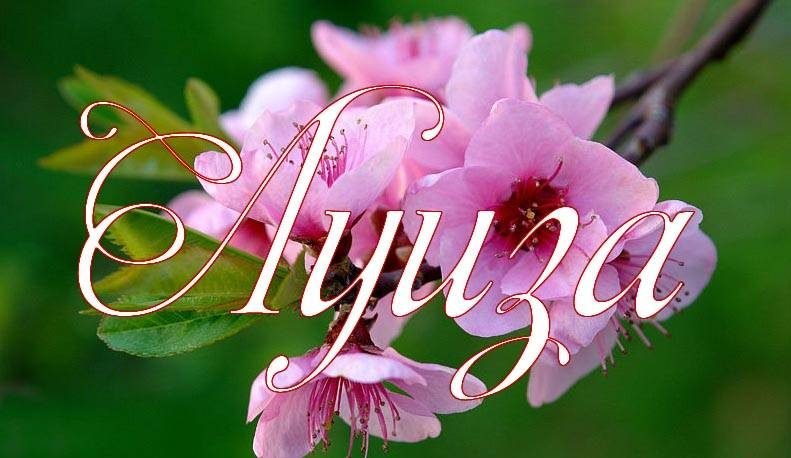 Поздравляем с Днем рождения Луизу Богатыреву